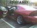 95stangs's Avatar 95stangs's Avatar