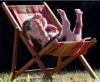 Bacon's Avatar Bacon's Avatar
