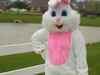 Easter Bunny's Avatar