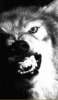 Motivation's Avatar Motivation's Avatar