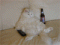 mr_youtoo's Avatar
