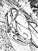 srt-4life's Avatar